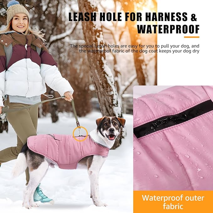 iBuddy Dog Winter Coats with Fleece Vest,Waterproof Warm Dog Snow Jacket Windproof, Reflective Adjustable Pet Dogs Cold Winter Coat for Dogs Girl Boy