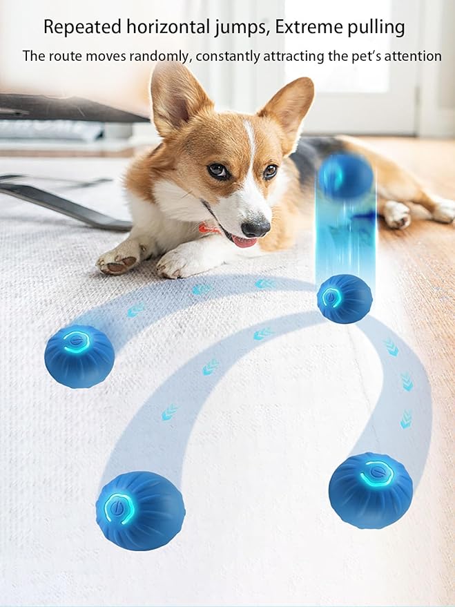 Winb Interactive LED Dog Ball （2 inch）- USB Rechargeable Motion-Activated Rolling Toy for Small Dogs, Dogs Ball Play and Wicked Fun