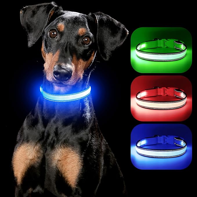 YFbrite Full Adjustbale LED Dog Collar, Full Illuminated Light up Dog Collars, Reflective Dog Collar Light Glowing in The Dark for All Dogs Safety (Large, Blue-2)