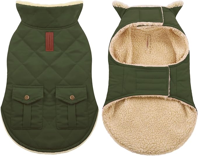 ASENKU Warm Dog Winter Coat, Waterproof Dog Coat for Cold Weather, Fleece Dogs Jacket with Ultra Thick Plush Lining Leash Hole Storage Pockets for Small Dogs (Green, X-Small)