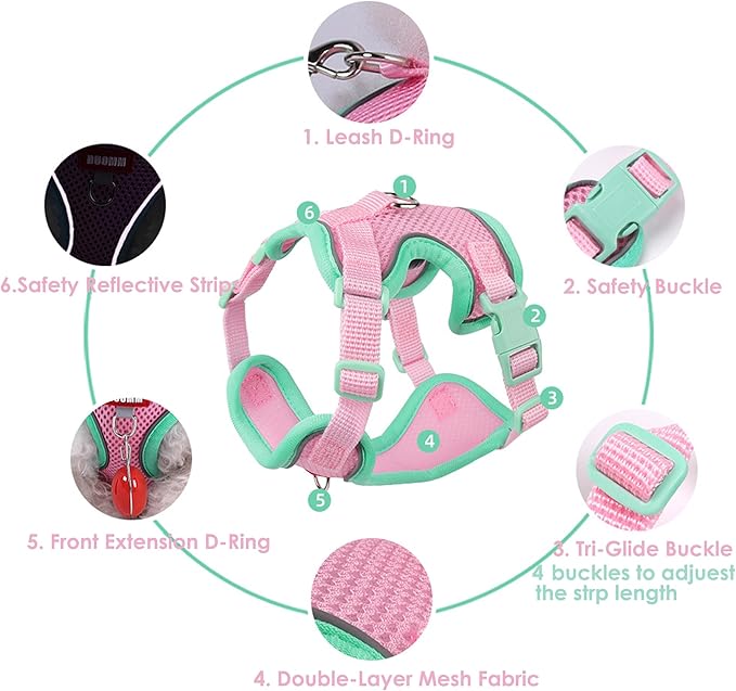 Cat Harness and Leash Set for Walking – Escape-Proof Reflective Vest for Cats and Small Dogs, Adjustable Soft Air Mesh with Pressure-Reducing Design, 4.92ft (Light Brown & Blue, XL)