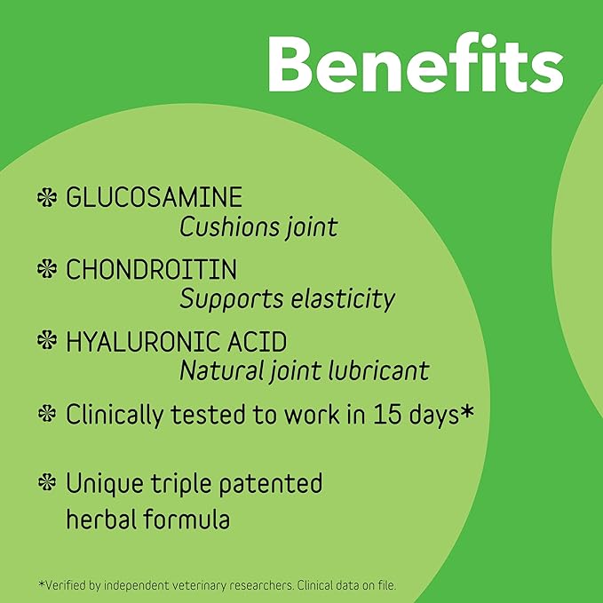 InClover Connectin Natural Hip & Joint Supplement for Dogs with Glucosamine, Chondroitin & Hyaluronic Acid - Soft Chew for Dog Mobility, Comfort & Active Lifestyle Support, 100 Count