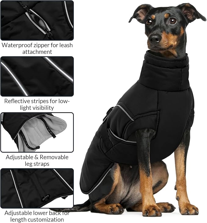 Queenmore Winter Dog Coat Warm Dog Jacket Vest Waterproof Puffer Fleece Snowsuit Adjustable Buckle Leash Hole Reflective Cold Weather Parka for Small Medium Large Dogs Girl Boy Black M