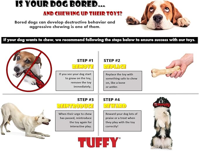 TUFFY - World's Tuffest Soft Dog Toy - Barnyard Duck - Squeakers - Multiple Layers. Made Durable, Strong & Tough. Interactive Play (Tug, Toss & Fetch). Machine Washable & Floats. (2 Combo Pack)