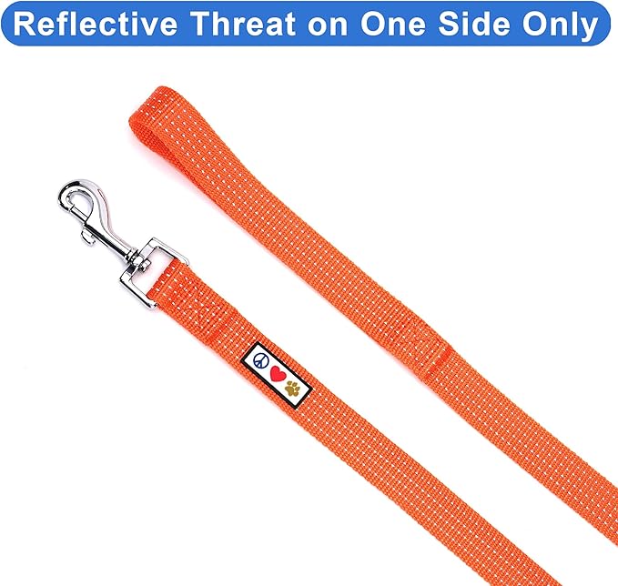 Pawtitas 6 FT Dog Leash - Reflective Orange Puppy Leash with Comfortable Handle and Heavy Duty Training