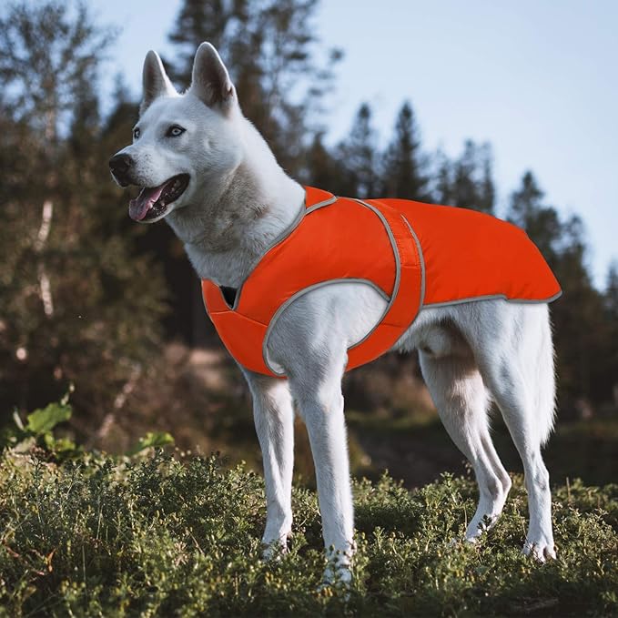 MIGOHI Warm Dog Coat Winter Dog Jacket,Waterproof Cold Weather Coats for Dogs,Fleece Jacket for Small Medium Large Dogs,Reflective Thick Fleece Vest with Leash Hole