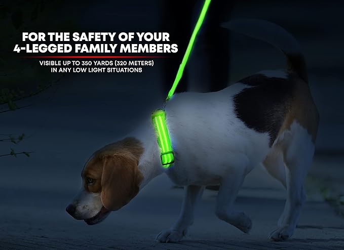 ILLUMISEEN LED Dog Collar USB Rechargeable - Bright & High Visibility Lighted Glow Collar for Pet Night Walking - Weatherproof, in 6 Colors & 6 Sizes (Green Small)