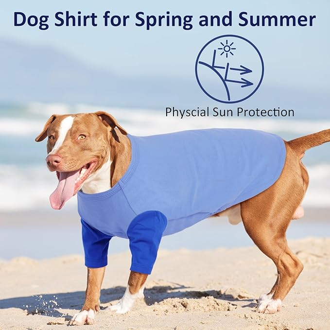 2 Pack Dog Shirt for Medium Dogs - Soft Breathable Summer Cool Tee, Lightweight Comfortable Clothes for Sensitive Skin, Jack Russell, Shihtzu, Indoor Lounging, Walking, Park Play, Blue