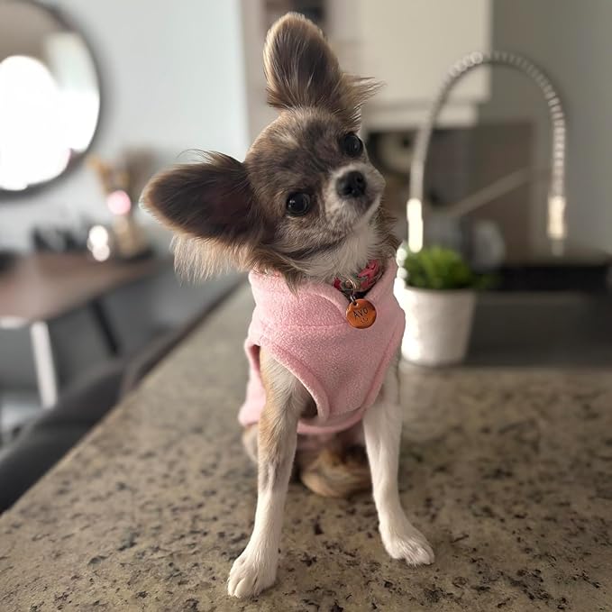 JACKO & CO - Fleece Vest Dog Sweater with Leash Ring - Soft, Warm & Lightweight Pullover Coat for Small & Medium Dogs, Puppies & Cats - Cozy Fall/Winter/Spring Pet Jacket (Pink Lemonade, XS 2-4lbs)