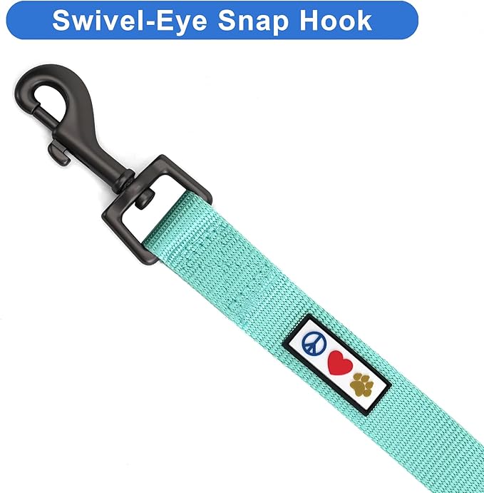 Pawtitas Personalized Dog Leash - Embroidered Customize Leash with Your Pet Name & Phone Number - 6 ft Long, Small, Teal, Custom Engraved Name