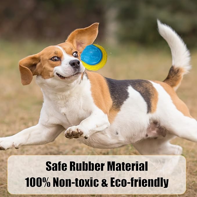 Dog Balls, 4-Pack Squeaky Dog Ball, Large and Medium Sized Dogs, Interactive Dog Toys for Play Exercise and Training 2.5 Inch Easy Catching Dog Toys