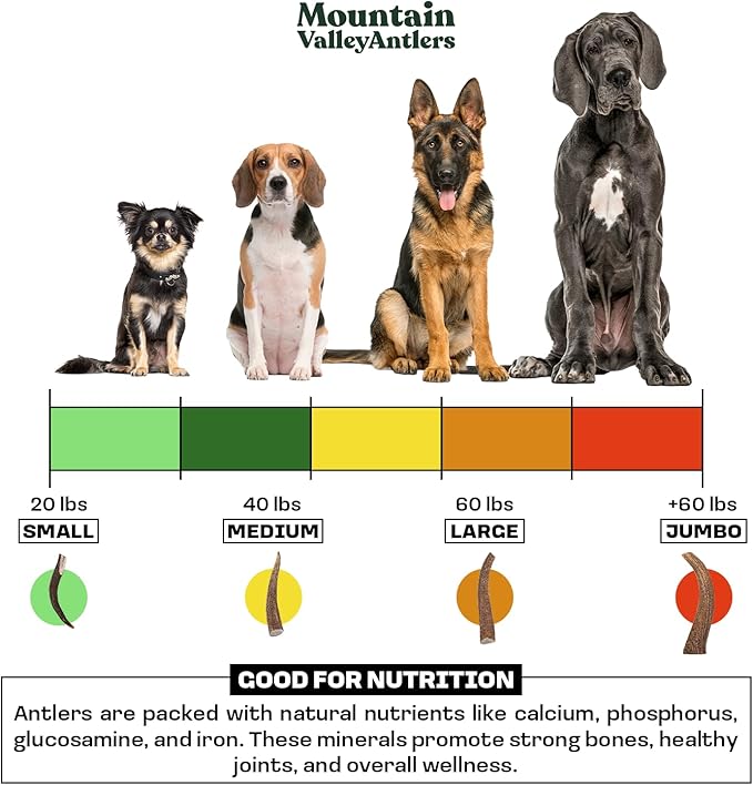 Mountain Valley Elk Antlers for Dogs - 100% Natural & Organic Chew for Aggressive Chewers, No Odor, No Mess, Long Lasting - Wild-Foraged Naturally Shed Antlers in USA - Grade A, Split Jumbo (1 Pack)