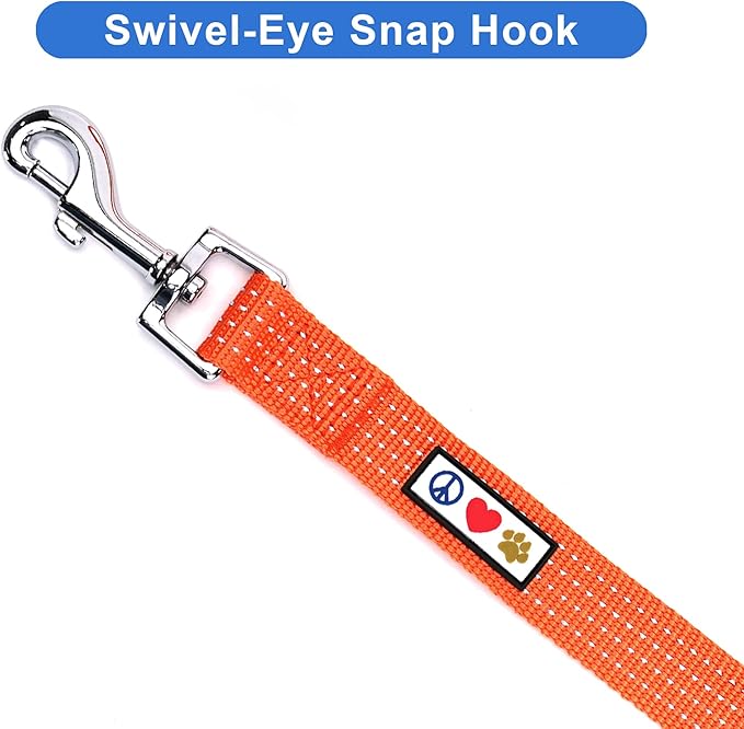 Pawtitas 6 FT Dog Leash - Reflective Orange Puppy Leash with Comfortable Handle and Heavy Duty Training