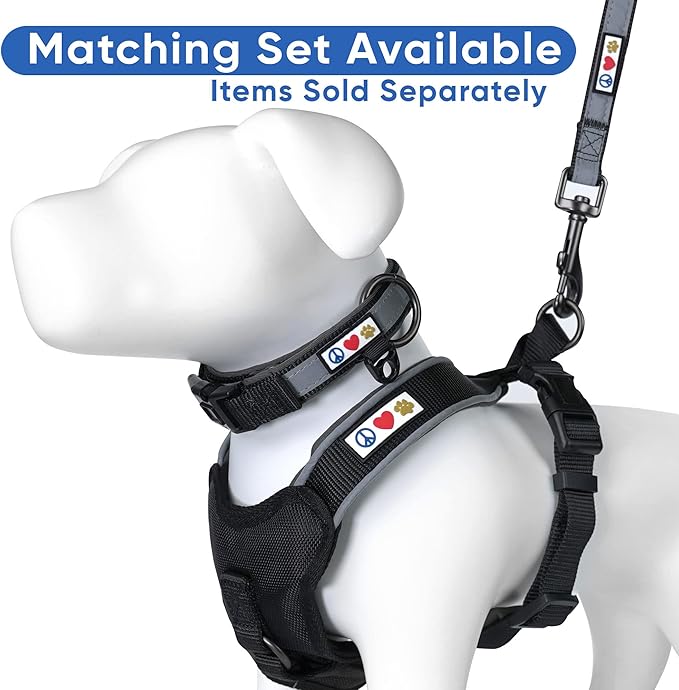 Pawtitas 6 FT Padded Dog Leash with Comfortable Neoprene Padding Handle - Black Lead | Medium Reflective Dog Leash with Highly Reflective Band Perfect for Medium and Large Dogs and Puppies