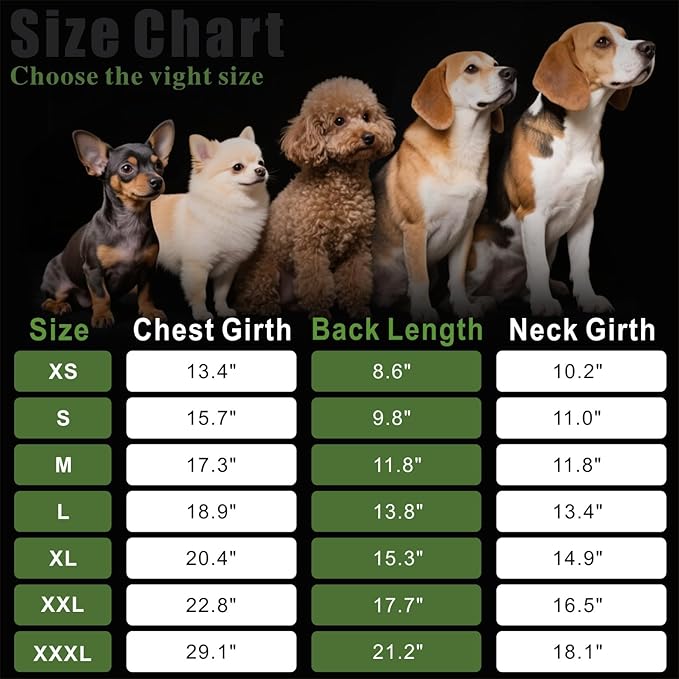 Idepet Pet Dog Hoodies 2 Pack with Pocket, Dog Outfits for Small Pets Chihuahua Clothes Warm Coat Jacket Autumn Puppy Sweatshirt Cats Clothing