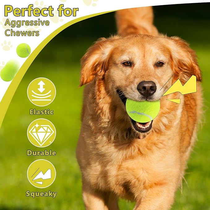 Swingers Squeaky Tennis Balls for Dogs,2.5 inch Training Tennis Balls,Exercise Ball for Pet Dog with Mesh Carry Bag Easy to Transport (Yellow, 60 Pack)