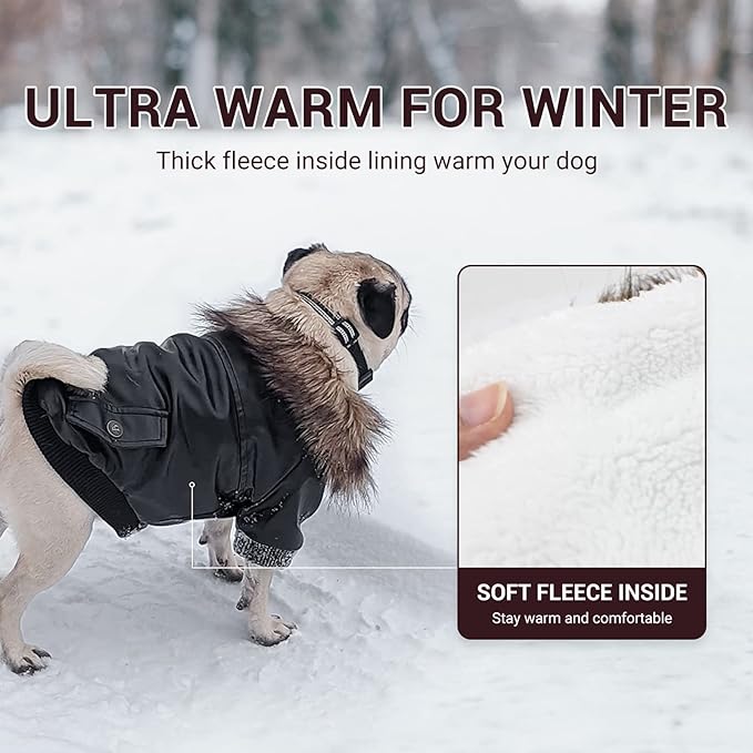 LESYPET Dog Leather Jacket for Small Dogs, Waterproof Dog Winter Jacket Puppy Coat with Fleece Lined, Ultra Warm Fur Collar Doggie Coat, Black L