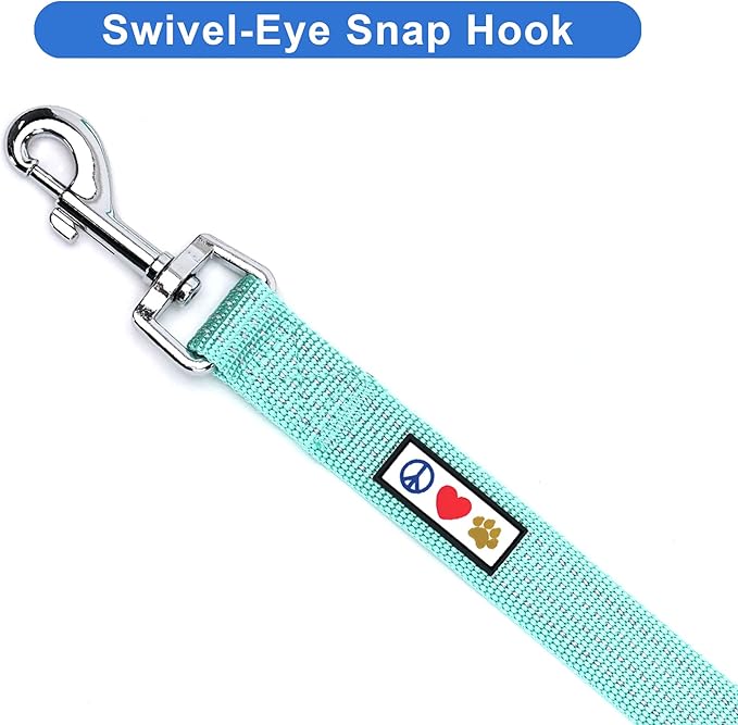 Pawtitas 6 FT Dog Leash - Reflective, Comfortable Handle, Heavy Duty Training Leash, Small Dog, Teal