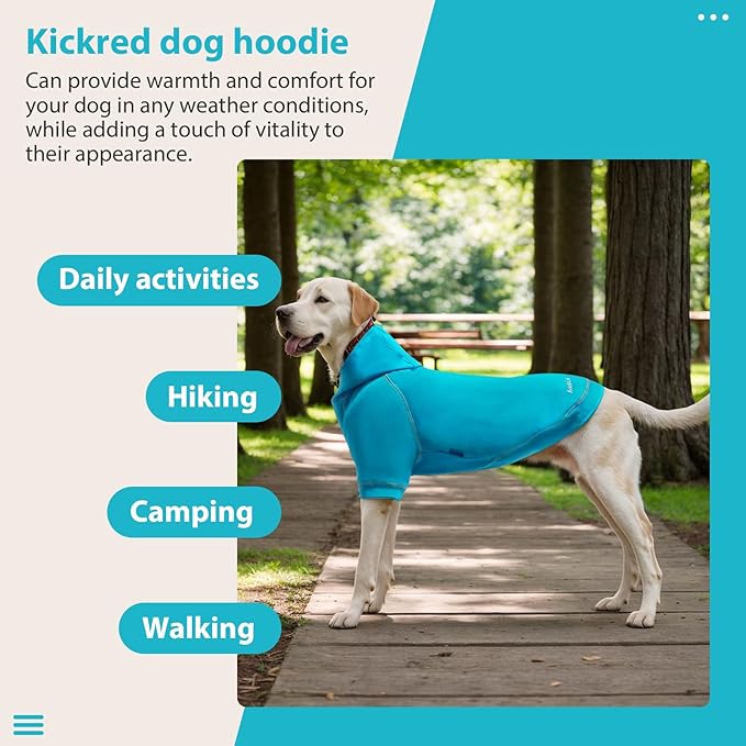 Basic Dog Hoodie Sweatshirts, Pet Clothes Hoodies Sweater with Hat and Leash Hole, Soft Cotton Outfit Coat for Small Medium Large Dogs, Royal Blue (Medium)