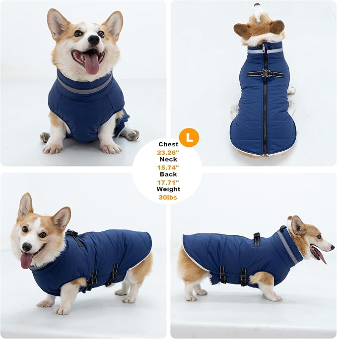 Large Dog Coat with Harness Built-in, Waterproof Reflective Fleece Lined - Warm Windproof Winter Jacket with Back Zipper, Cold Weather Snow Dog Coats - Blue - XL