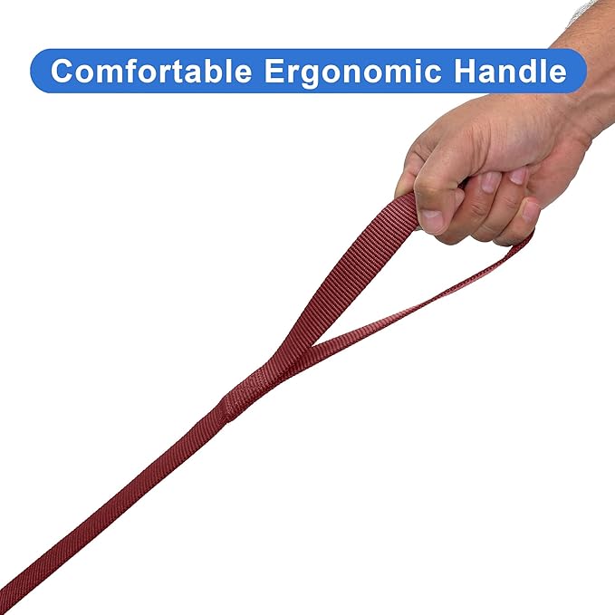 Pawtitas 6 FT Solid Color Leash for Puppy & Dog Training - Comfortable Handle - Extra Small/Small Dog Leash - Marsala