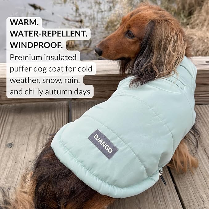 DJANGO Puffer Dog Coat – Warm Winter Dog Jacket & Water-Repellent Insulated Puffer Vest with Striped Lining, Harness Hole, Adjustable Fit for Small & Medium Dogs, Dachshunds – Sea Foam Green, X-Small