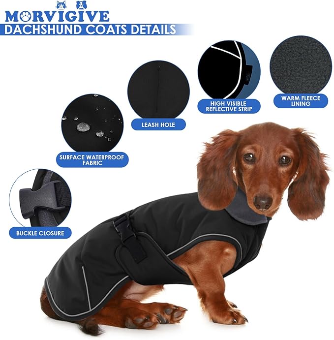 Dachshund Coat - Warm Winter Dog Jacket with Fleece Lining, Windproof Waterproof Snowsuit, Black, Medium