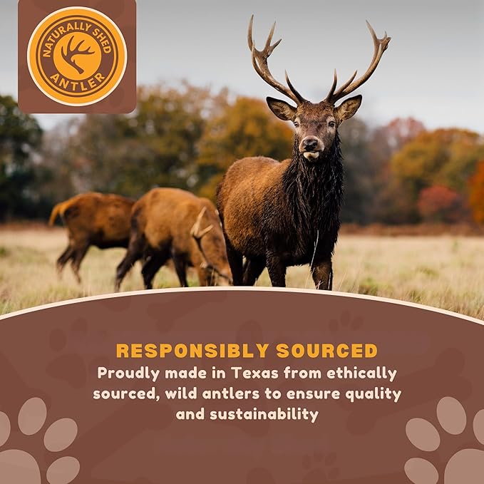 WhiteTail Naturals - Antlers for Small Dogs (6 Pack) Deer Antler Dog Chew Bones for Small Aggressive Chewers - Long Lasting Horn Chew Toys - Naturally Shed
