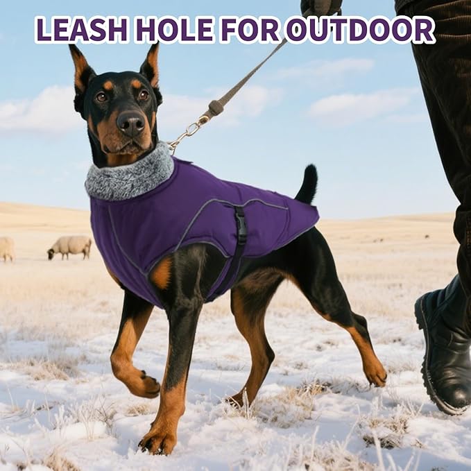 DENTRUN Medium Dog Winter Jacket - Warm Reflective Windproof Coat, Adjustable Neck & Snap Closure, Water Repellent Thick Fleece Vest, Fleece Lined for Beagle Pug, Purple, M