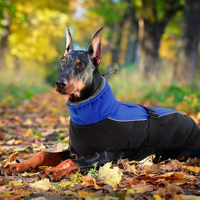 IDOMIK Dog Winter Coat, Reflective Waterproof Dog Jacket for Cold Weather, Warm Pet Coats for Small Medium Large Dogs, High Collar Doggy Fleece Snow Jacket, Winter Vest with Adjustable Buckle,M