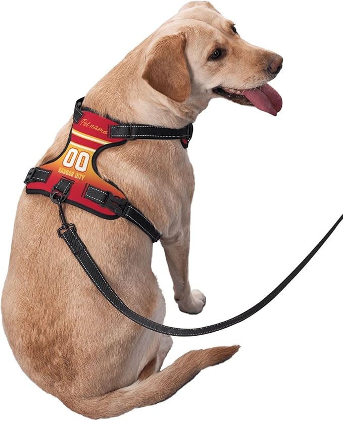 Custom Football Style Dog Harness with Reflective Stripes Personalized Name and Number Dog Vest Harness with Pet Traction Rope for Small Medium Large Dog