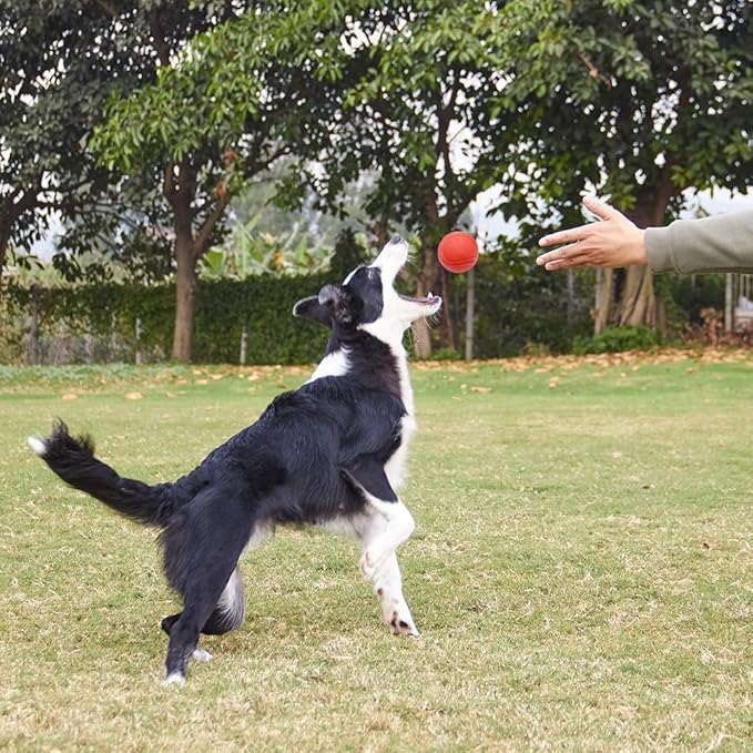 Hard Rubber Balls for Dogs,Dog's Solid Rubber Bouncy Ball Bite Resistant and Indestructible Dog Training Ball,Dog Balls for Aggressive Chewers