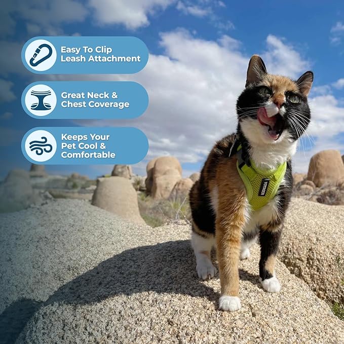 Voyager Step-in Lock Adjustable Cat Harness w. Cat Leash Combo Set with Neoprene Handle 5ft - Supports Small, Medium and Large Breed Cats by Best Pet Supplies - Lime Green, XXS