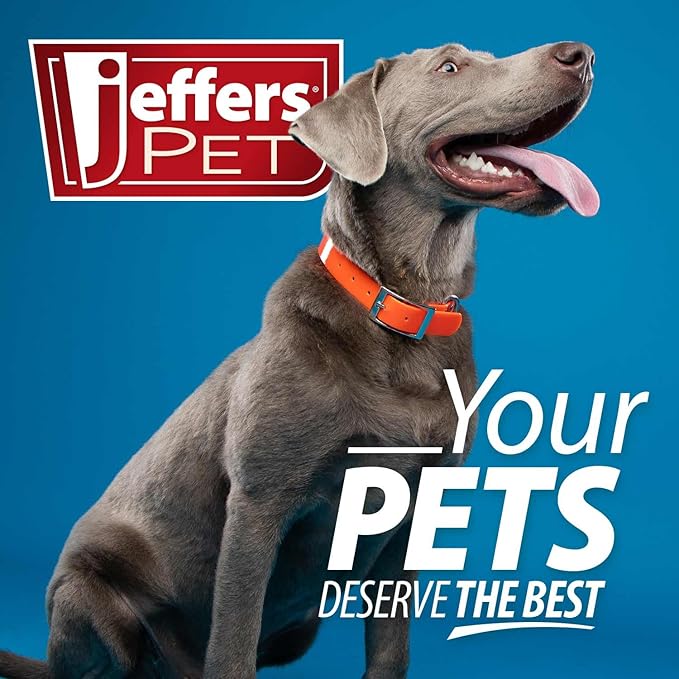 Jeffers Pet Plush Dog Toy with Squeaker, Hotdog 5 1/2" - Soft Crinkle Fabric, Safe & Durable, Healthy Fun for Small & Medium Dogs, Interactive Play, Fetch, Tug - Best Gift for Active Games