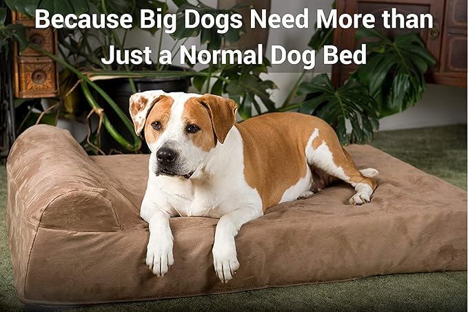 Barker Beds Orthopedic Dog Bed - 7" Pillow Top XL Size (52 x 36 x 11) - Luxury Washable Large Dog Bed with Headrest - Memory Foam Mattress for Big Dogs (Charcoal)