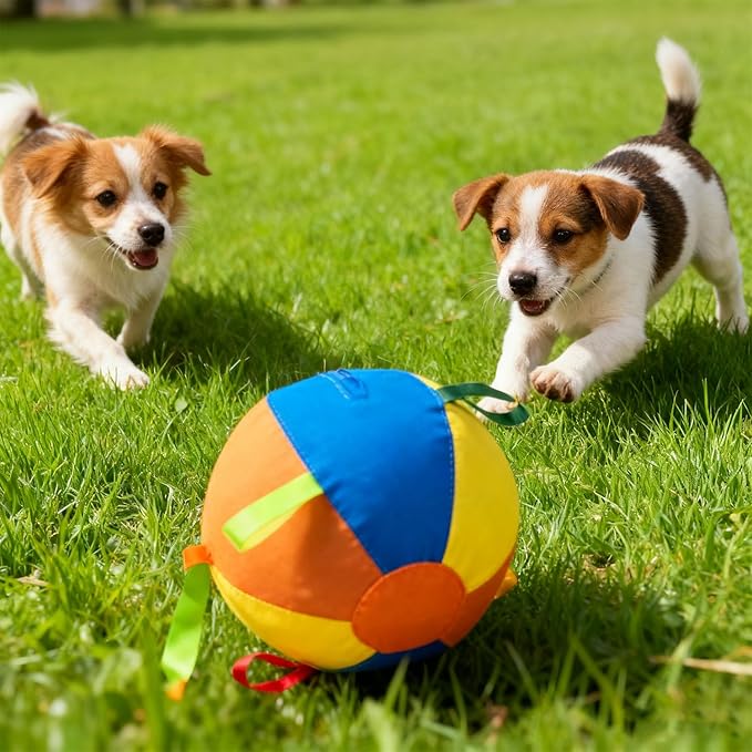 Herding Giant Tennis Dog Ball, Toy for Medium to Large Dogs, for Aggressive Chewers, Tough Herding Ball for Play & Exercise, Fun Doggy Birthday Gift (18-inch)