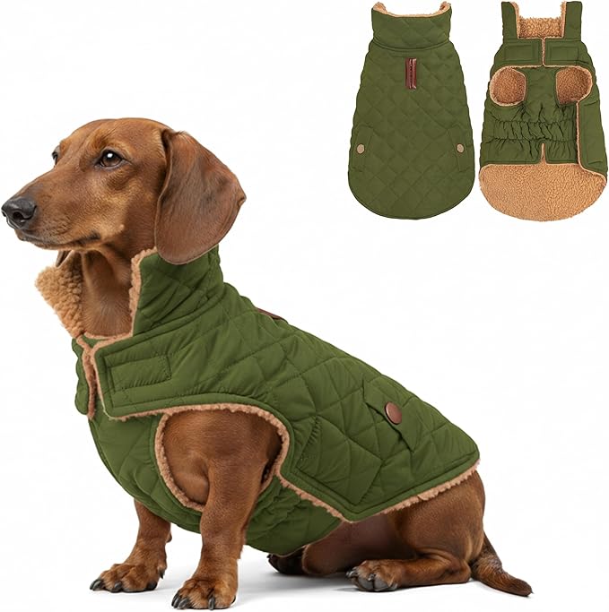 azuza Dog Jacket Waterproof & Windproof Dog Coat for Small Dogs with Thick Fleece, High Collar with Leash Hole, Adjustable Velcro & Elastic Belly, Army Green, S