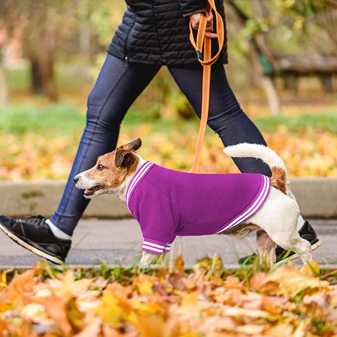 Dog Sweaters for Medium Dogs, Brushed Fleece Dog Sweater Baseball Jacket Soft Warm Pet Sweater Clothes Medium Sized Boy Girl Pet(Purple-M)