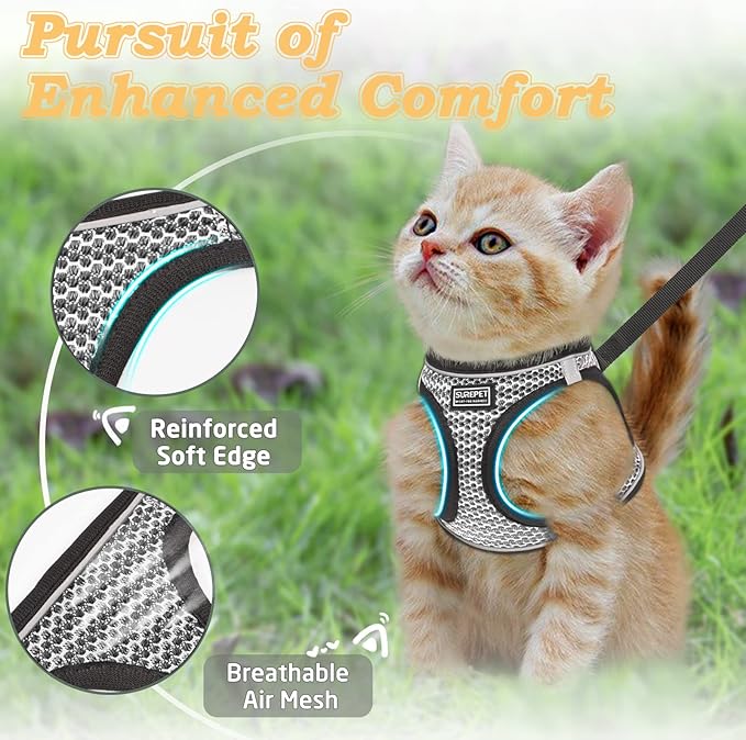 Cat Harness and Leash for Walking Escape Proof, Adjustable Kitten Vest Harness Reflective Soft Mesh Puppy Harness for Outdoor, Comfort Fit, Easy to Control (Grey, L)