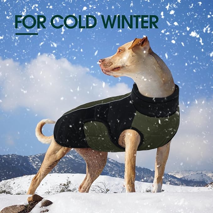 Kuoser Dog Jacket, Winter Dog Coats for Medium Dogs, Reflective Doggie Cold Weather Coats Pet Clothes, Puppy Snow Jacket for Frech Bulldog, Boston Terrier, Green L