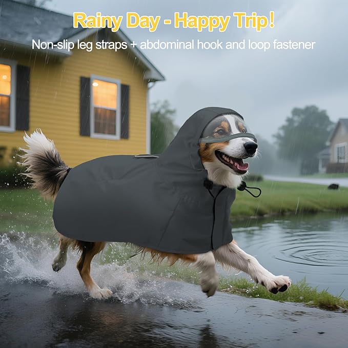 DENTRUN Dog Raincoat with Hood for Border Collie, Shiba Inu – Windproof & Reflective for Night Walks, Jogging, Backpacking – Adjustable Fit, XL