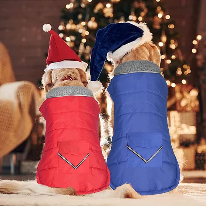 Dog Coat, Waterproof Dog Winter Jacket with Pocket, Reflective Adjustable Pet Snow Vest, Warm Cozy Fleece Sweater for Small Medium Extra Large Dogs - Blue, XS