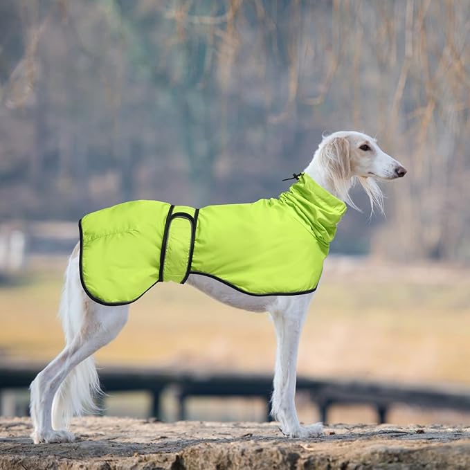 Dog Raincoat with Reflective Bar, Rain/Water Resistant, Adjustable Vest - Dog Raincoats for Greyhounds, Lurchers and Whippets - Light Green - M