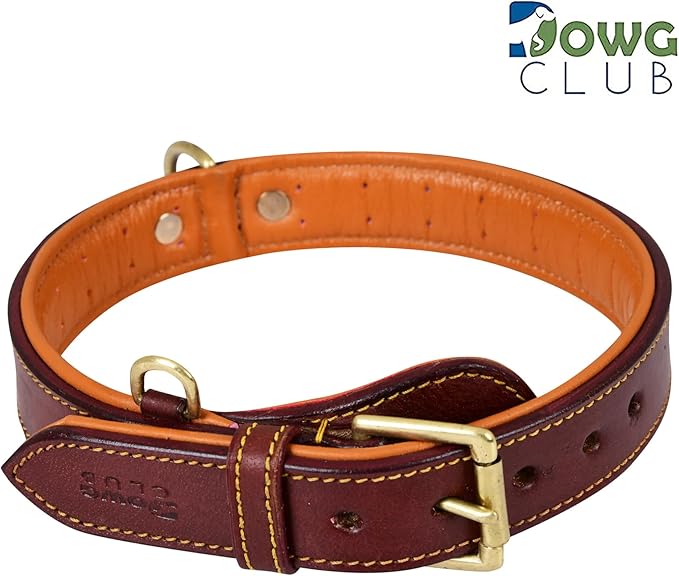 Genuine Leather Dog Collar – Full Grain, Breathable Inner Padding, Padded Buckle – Heavy Duty, Adjustable for Small, Medium, Large & XL Breeds | (Dark Brown, L (Fit Neck Size 18.5"-22.5"))