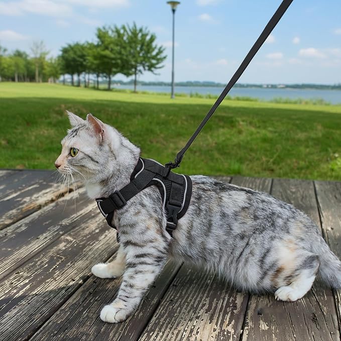 Cat Harness and Leash Set Escape Proof Tactical Medium Kitten Harness Emotional Support Cat Vest, Black, M