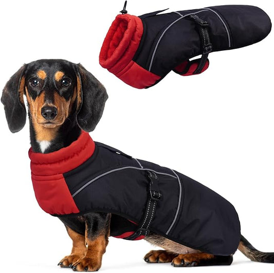 DORA BRIDAL Dachshund Coat, Fleece Lined Dog Winter Coat, Warm Dog Coats with Reflective Strips, Adjustable Waterproof Pet Jacket Clothes, L