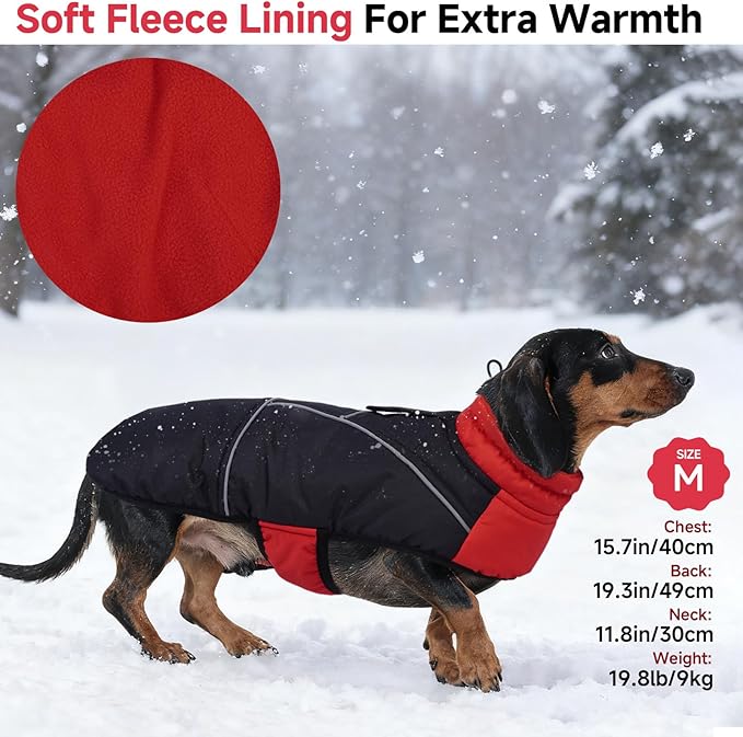 DORA BRIDAL Dachshund Coat, Fleece Lined Dog Winter Coat, Warm Dog Coats with Reflective Strips, Adjustable Waterproof Pet Jacket Clothes, M