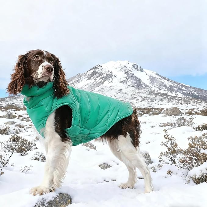 Dog Puffer Jacket with Detachable Neck Wrap for Small Dogs, Waterproof Dog Vest with Back Zipper, Winter Coat Fleece Elastic Band on Chest for Dogs, Bichon Frise, Chihuahua, Green XS