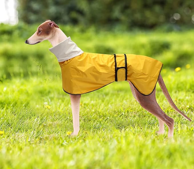 Dog Raincoat with Reflective Bar, Rain/Water Resistant, Adjustable Vest - Dog Raincoats for Greyhounds, Lurchers and Whippets - Yellow - XXL