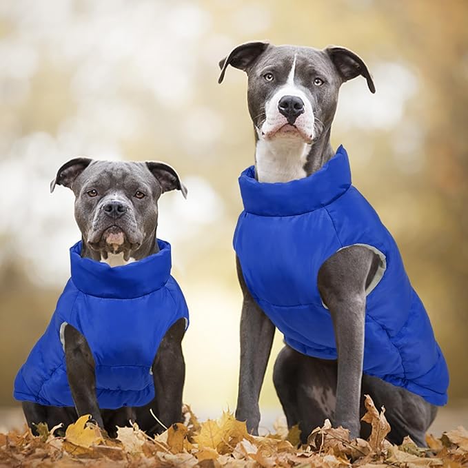 Kuoser Dog Coat Warm Dog Puffer Jacket, Windproof Dogs Padded Vest Lightweight Cold Weather Coats Pet Snowsuit Soft Puppy Winter Clothes for Large Dogs, Button Design, Easy On/Off, Blue XL